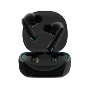 R-520 Earbuds